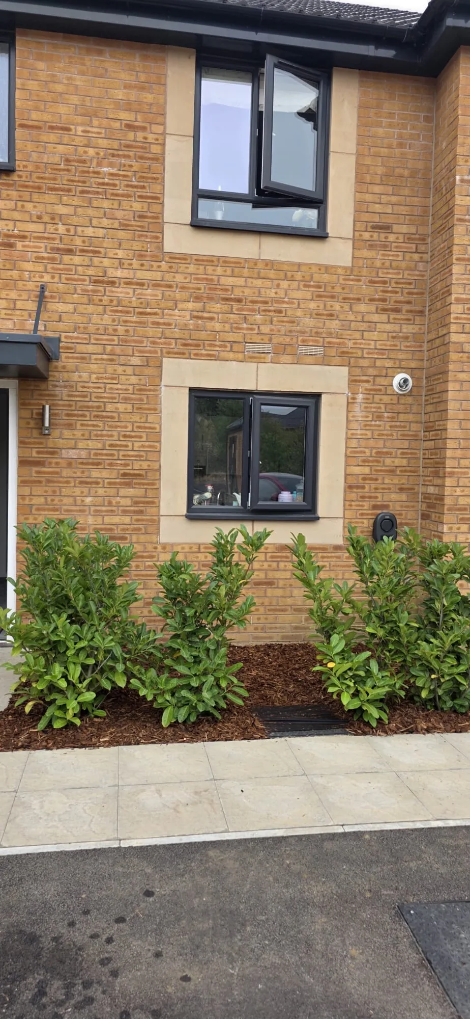 New garden border planting and mulching by MT’s Garden Services