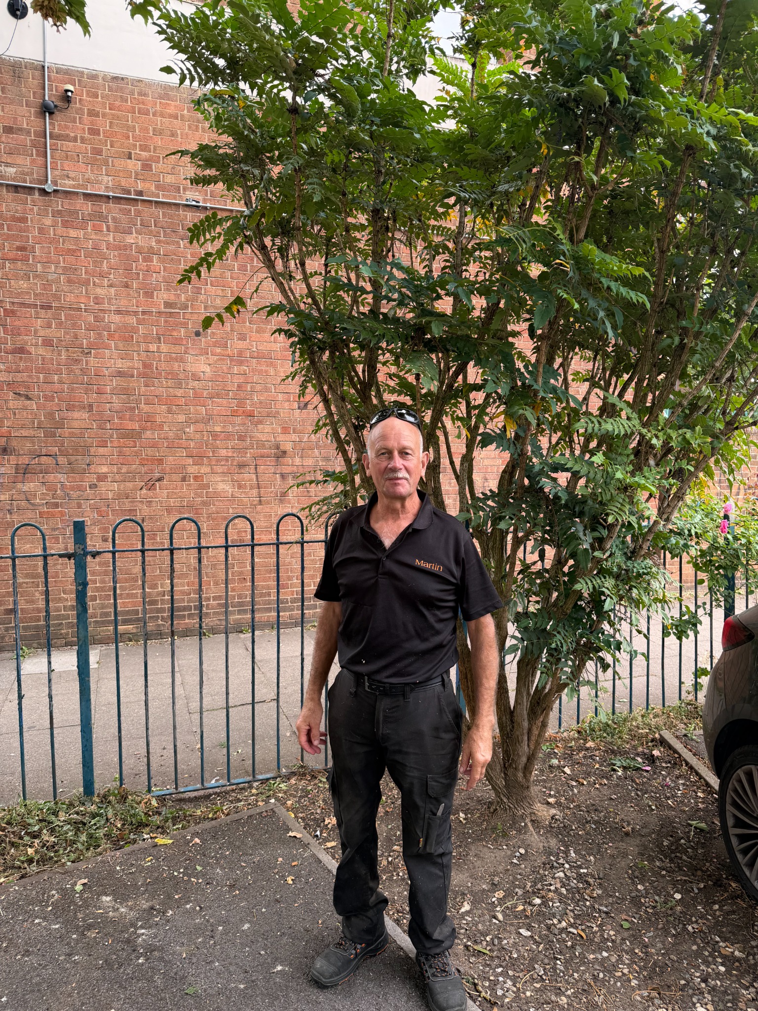 Martin Tustin, Business Owner