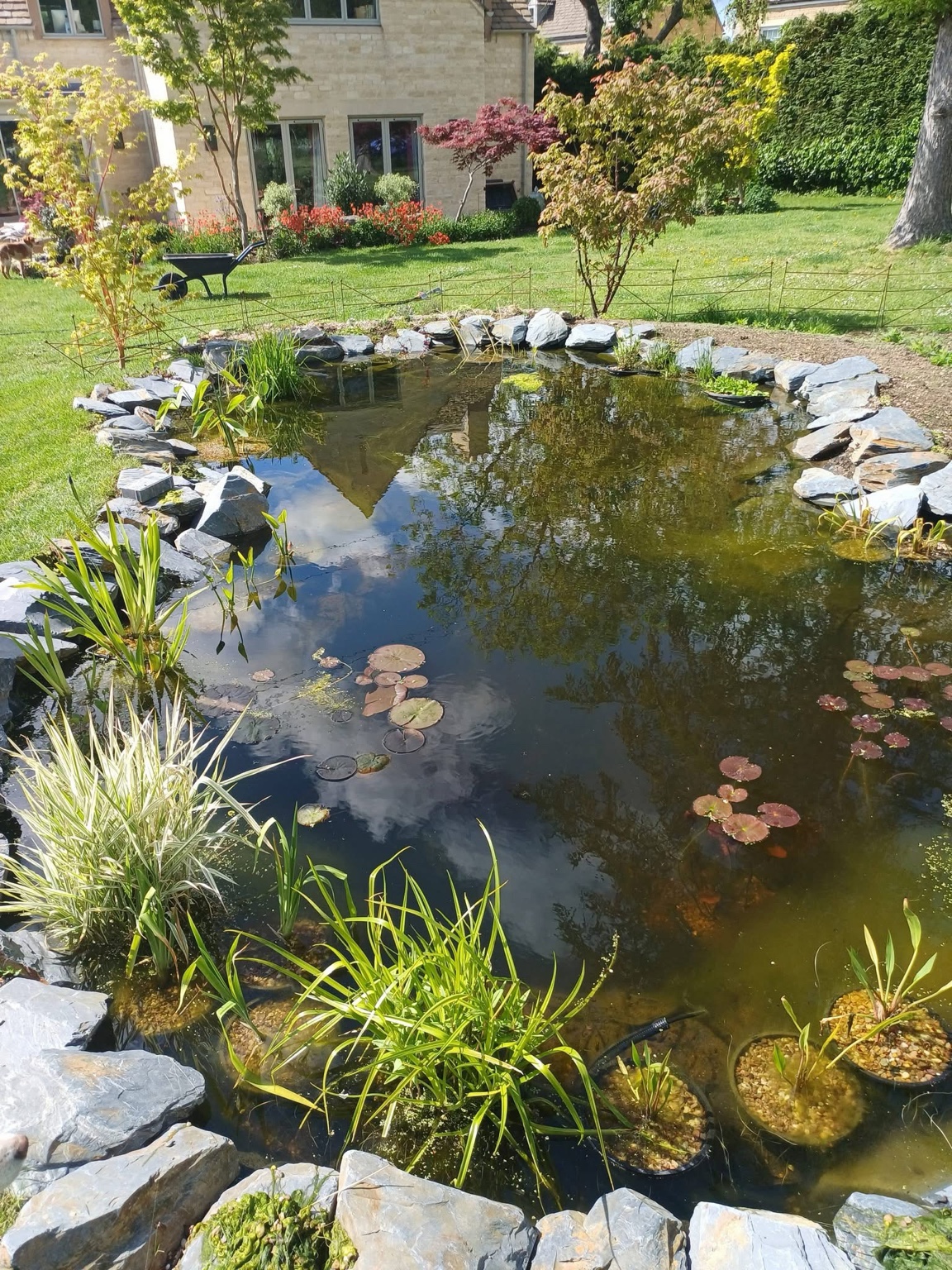 Completed landscaped garden pond