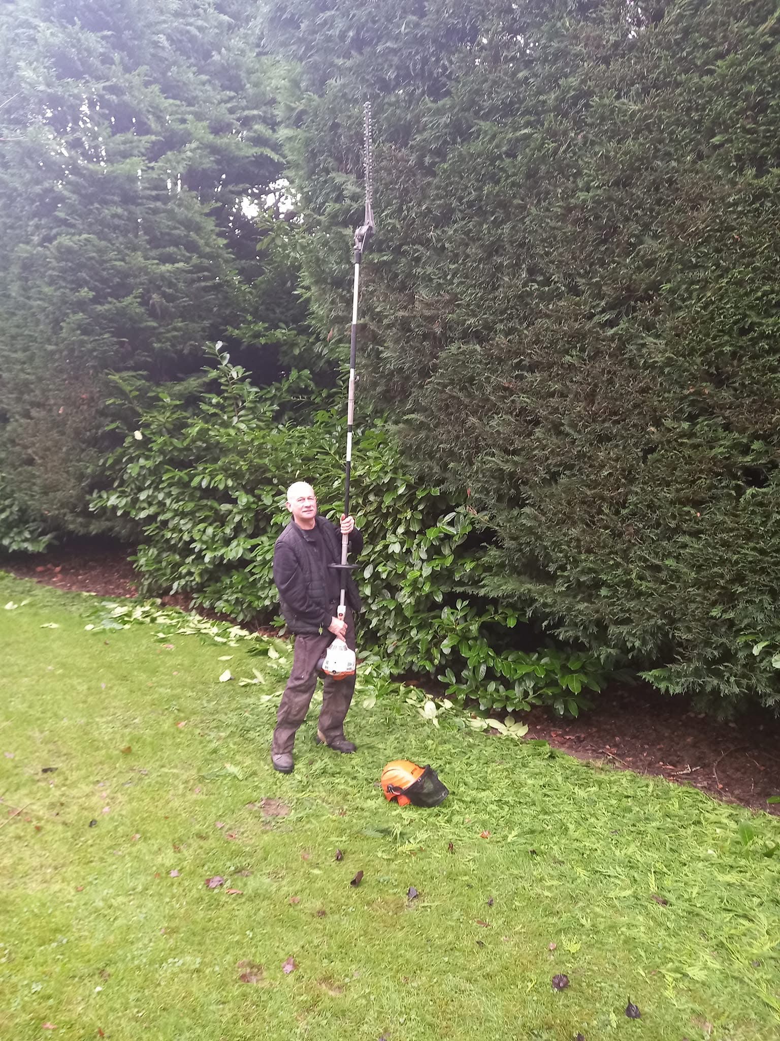 Tree and hedge work